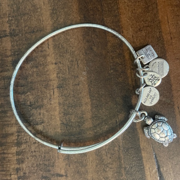 Sea Turtle Charm Bangle in Rafaelian Silver - Picture 4 of 6